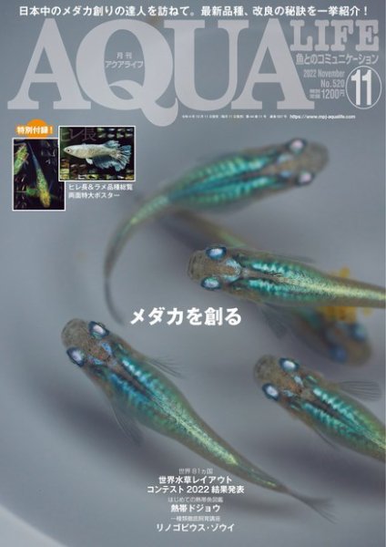 アクアライフ 11月号 (発売日2022年10月11日) 表紙