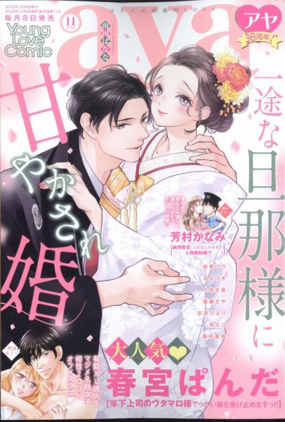 Young Love Comic aya(ヤング ラブ コミック アヤ)  2022年11月号 (発売日2022年10月06日) 表紙