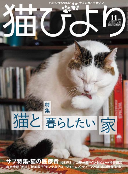 猫びより 猫びより vol.126 (発売日2022年10月12日) 表紙