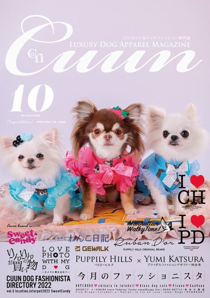 Cuun（クーン） 2022年10月号 (発売日2022年10月10日) 表紙