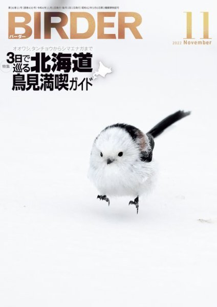 BIRDER（バーダー） 2022年11月号 (発売日2022年10月15日) 表紙