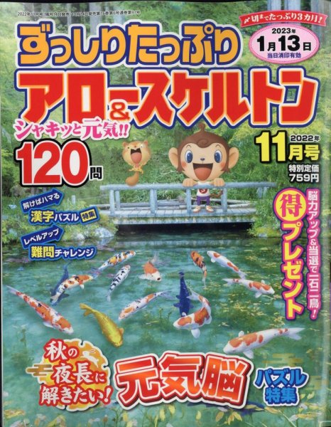 ずっしりたっぷりアロー＆スケルトン 2022年11月号 (発売日2022年10月14日) 表紙