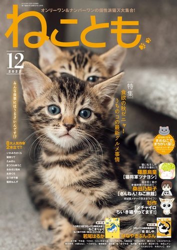 ねこともの最新号 22年12月号 発売日22年10月15日 雑誌 電子書籍 定期購読の予約はfujisan