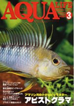 アクアライフ 3月号 (発売日2009年02月11日) 表紙
