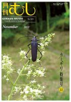 月刊むし 621 表紙