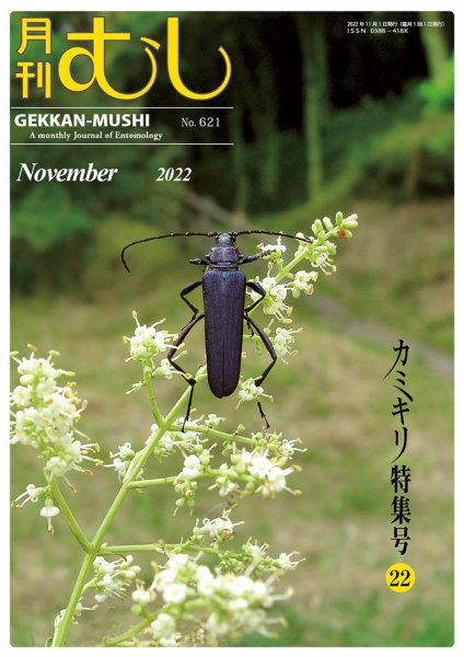 月刊むし 621 (発売日2022年10月20日) 表紙