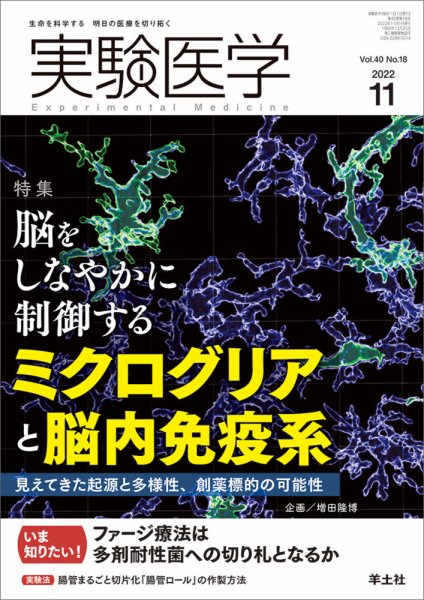 実験医学 Vol.40No.18 (発売日2022年10月20日) 表紙