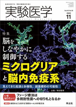 実験医学 Vol.40No.18 (発売日2022年10月20日) 表紙