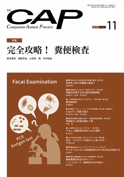 月刊CAP 2022年11月号 (発売日2022年11月01日) 表紙