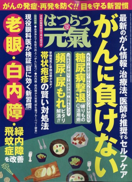 はつらつ元気 2022年12月号 (発売日2022年11月02日) 表紙