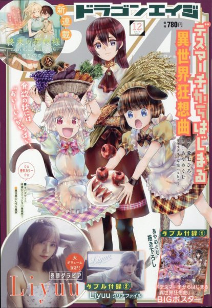 月刊ドラゴンエイジ 2022年12月号 (発売日2022年11月09日) 表紙
