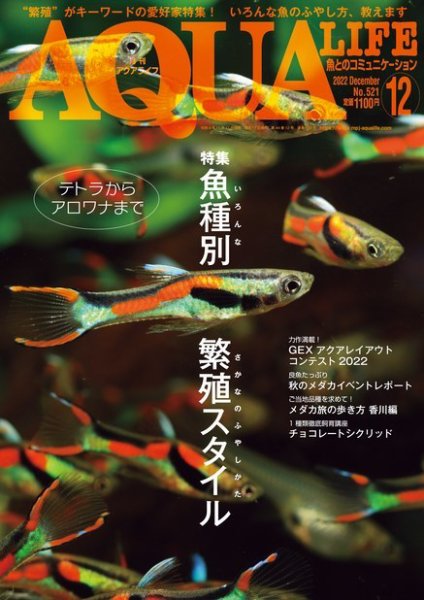 アクアライフ 12月号 (発売日2022年11月11日) 表紙
