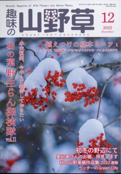 趣味の山野草 2022年12月号 (発売日2022年11月11日) 表紙