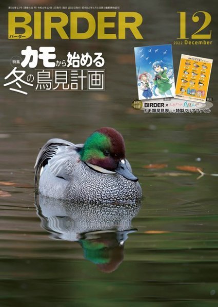 BIRDER（バーダー） 2022年12月号 (発売日2022年11月16日) 表紙