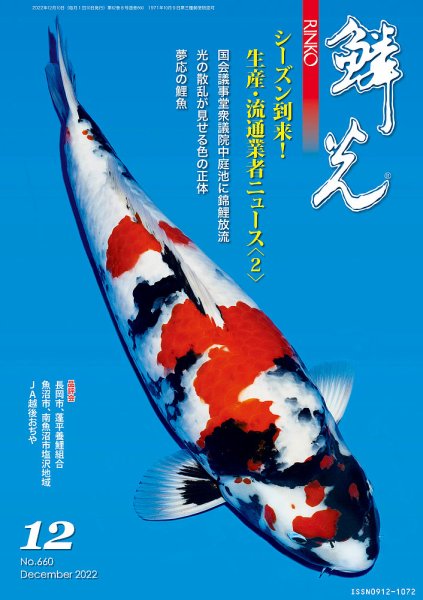 鱗光 2022年11月15日発売号 表紙