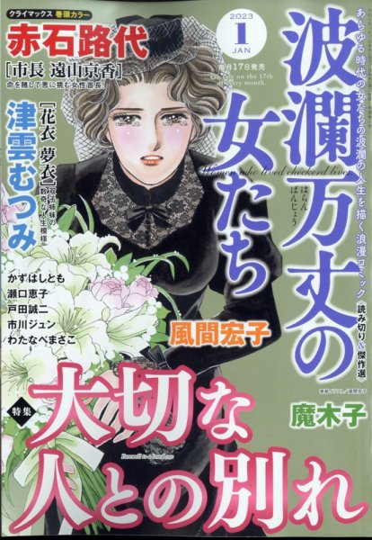 波乱万丈の女たち 2023年1月号 (発売日2022年11月17日) 表紙
