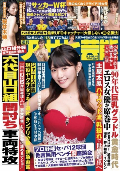 週刊アサヒ芸能 ［ライト版］ 2022年11月17日発売号 表紙