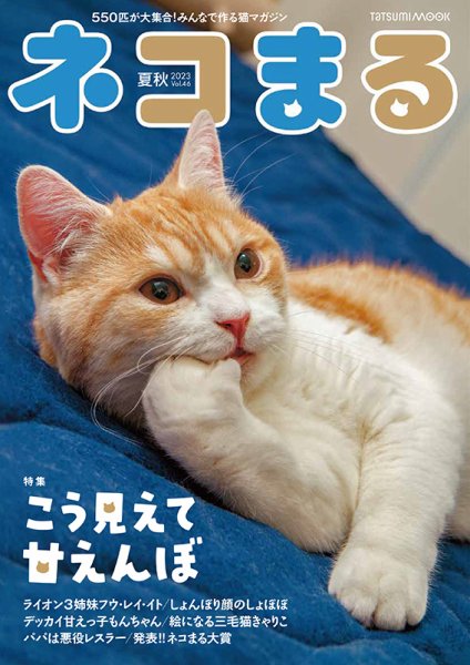 ネコまる 夏秋号 vol.46 (発売日2023年05月18日) | 雑誌/定期購読の