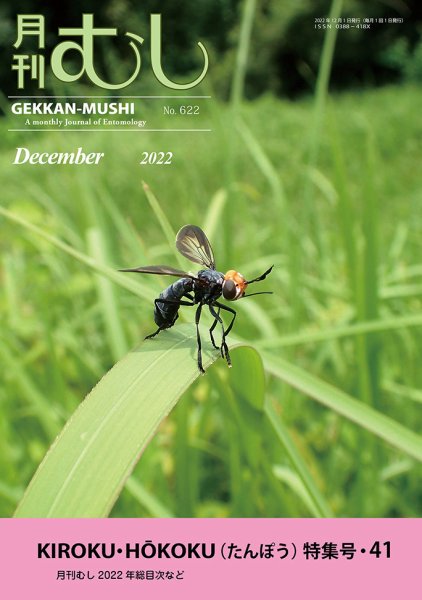 月刊むし 622 (発売日2022年11月20日) 表紙