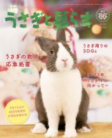 うさぎ うさぎ専門店Little Pets（リトルペッツ） | . ◻︎◻︎◻︎子