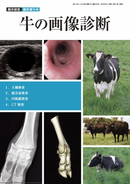 臨床獣医 22年臨時増刊号 (発売日2022年06月02日) 表紙