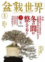 盆栽世界 2023年1月号 表紙