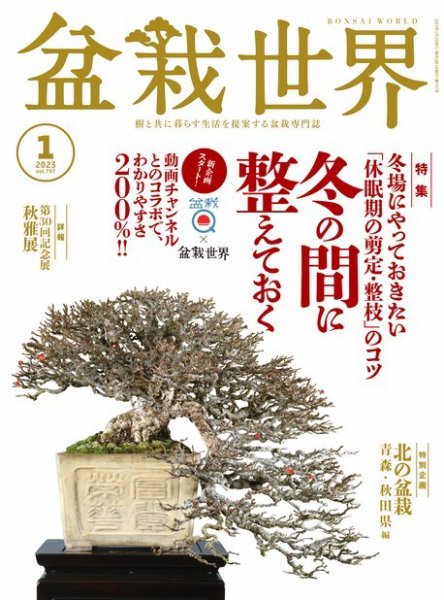 盆栽世界　17冊　＋　その他盆栽　雑誌・本セット 盆栽世界 2023年1月号 (発売日2022年12月04日) | 雑誌/電子書籍/定期