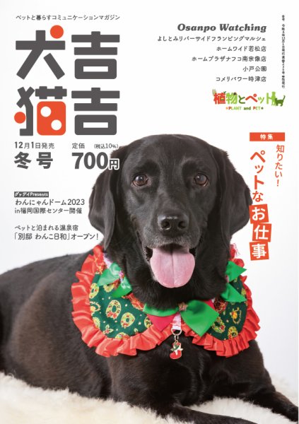 犬吉猫吉九州版　 230 (発売日2022年12月01日) 表紙