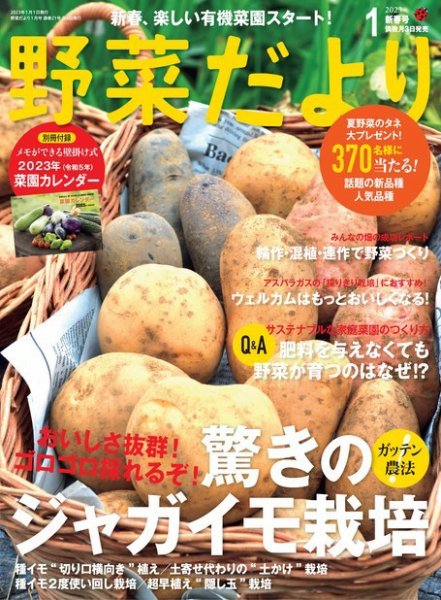 野菜だより 2023年1月号 (発売日2022年12月02日) 表紙