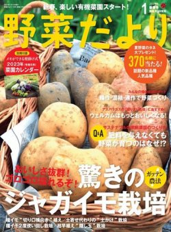 野菜だより 2023年1月号 (発売日2022年12月02日) 表紙