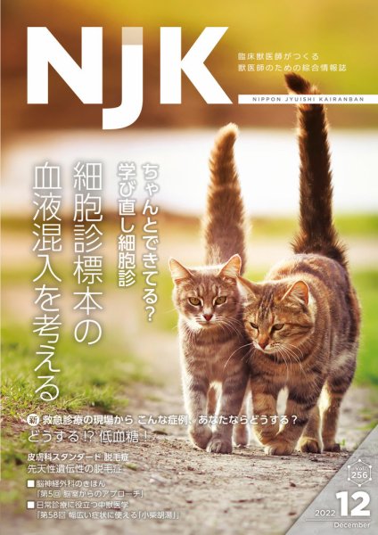 NJK Vol.256 (発売日2022年12月01日) 表紙