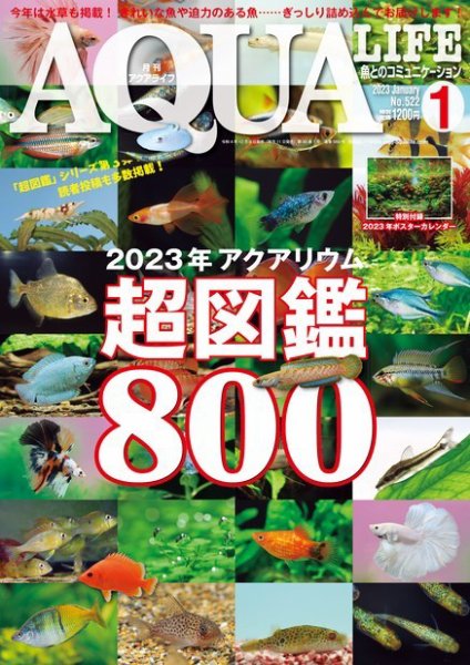 アクアライフ 1月号 (発売日2022年12月09日) 表紙