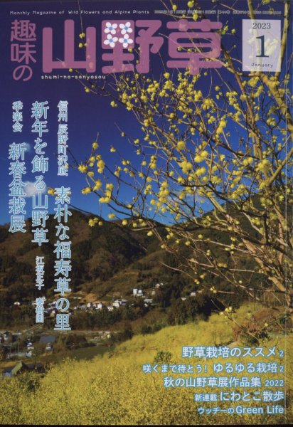 趣味の山野草 2023年1月号 (発売日2022年12月12日) 表紙