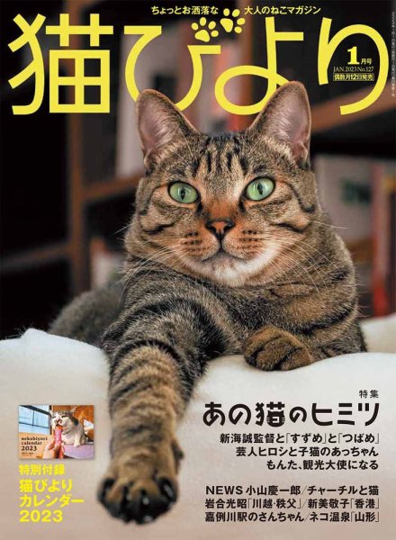 猫びより 猫びより vol.127 (発売日2022年12月12日) 表紙