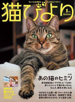 猫びより  猫びより vol.127 (発売日2022年12月12日) 表紙