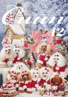 Cuun（クーン） 2022年12月号 (発売日2022年12月10日) 表紙