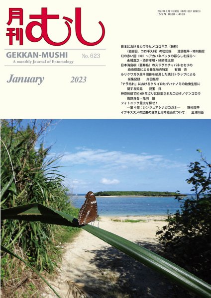 月刊むし 623 (発売日2022年12月23日) 表紙