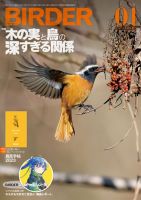 BIRDER（バーダー） 2023年1月号 表紙