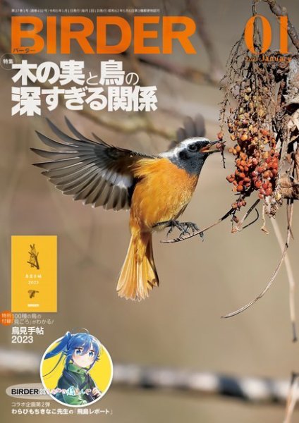 BIRDER(バーダー) 2023年1月号 (発売日2022年12月16日) | 雑誌/電子 BIRDER(バーダー) 2023年1月号 (発売日2022年12月16日) | 雑誌/電子