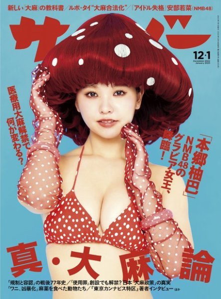 サイゾー 12月・2301月号 (発売日2022年12月19日) 表紙