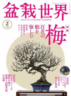 雑誌/定期購読の予約はFujisan 雑誌内検索：【外縁】 が盆栽世界の2022年12月27日発売号で見つかりました！