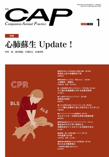 月刊CAP 2023年1月号 (発売日2023年01月01日) 表紙