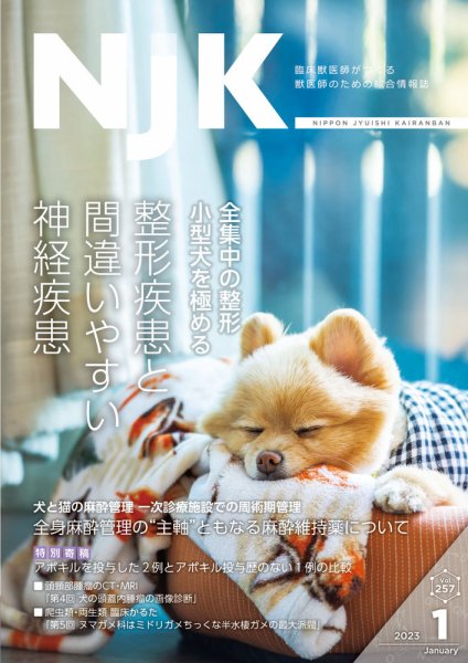 NJK Vol.257 (発売日2023年01月01日) 表紙