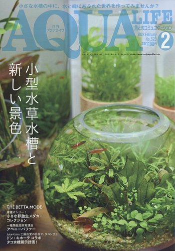 アクアライフ 2月号 (発売日2023年01月11日) | 雑誌/電子書籍/定期