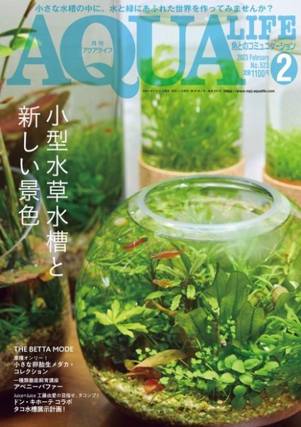 アクアライフ 2月号 (発売日2023年01月11日) 表紙