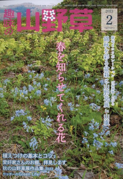 趣味の山野草 2023年2月号 (発売日2023年01月12日) 表紙