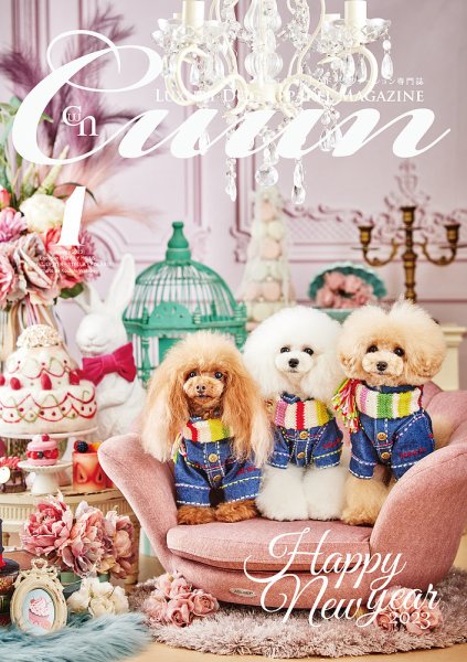 Cuun（クーン） 2023年1月号 (発売日2023年01月10日) 表紙
