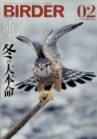 BIRDER（バーダー）のバックナンバー (2ページ目 15件表示) | 雑誌 