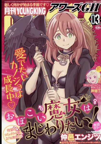 YOUNG KING OURS ＧＨ (ヤングキングアワーズ) 2023年3月号 (発売日2023年01月16日) 表紙