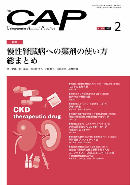 月刊CAP 2023年2月号 (発売日2023年02月01日) 表紙
